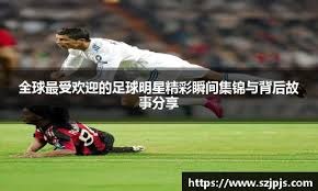 《球队老板的背景调查：从房地产大亨到对冲基金天才》