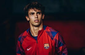 fnatic下放教练casle，Independent临时救火